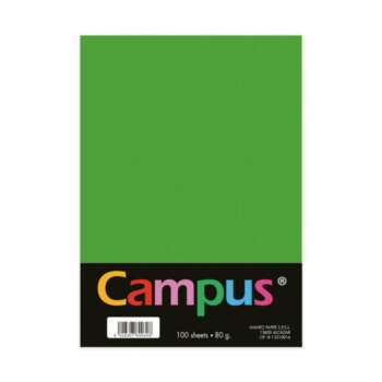 PAPEL CAMPUS A4 80GR 100H VERD.MANZA.