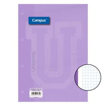 RECAMBIO CAMPUS A4 100H 90G 4T CN5 VI