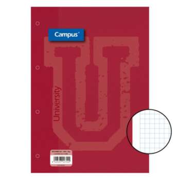 RECAMBIO CAMPUS A4 100H 90G 4T CN5 RO