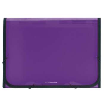 CLASIFIC.PLUS PP GOMA 12D.TRASL.VIOLE