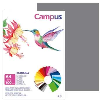 CARTULINA CAMPUS A4 180G GRIS PLOMO