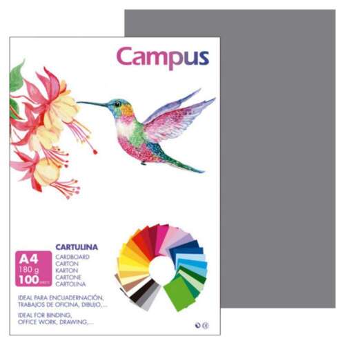 CARTULINA CAMPUS A4 180G GRIS PLOMO