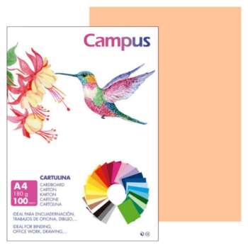 CARTULINA CAMPUS A4 180G CARNE