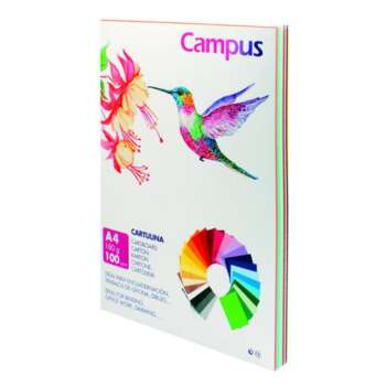 CARTULINA CAMPUS A4 180G SURTIDO/100U