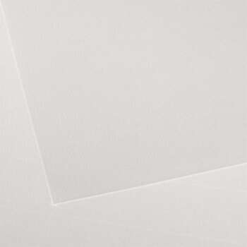 LAMINA PAPEL INGRES GUARRO 50X70/50H