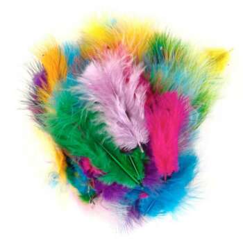 PLUMAS INDIO 6 COL.SURT. /50UDS