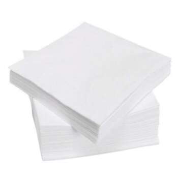SERVILLETA 30X30 BLANCA DOB.CAPA 100U