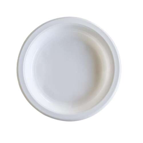 PLATO REUTILIZABLE LLANO 22CM /25U